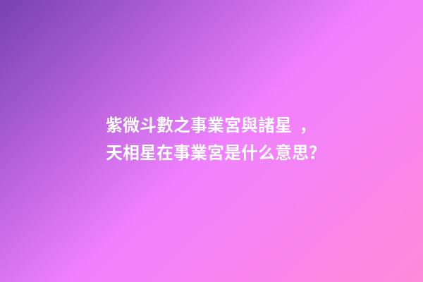 紫微斗數之事業宮與諸星，天相星在事業宮是什么意思？